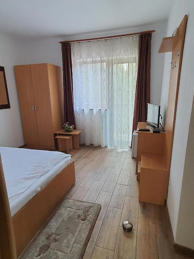 Vidra Parc 호텔 보이네아사 외부 사진