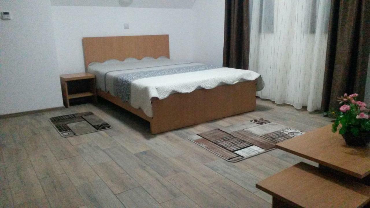 Vidra Parc 호텔 보이네아사 외부 사진