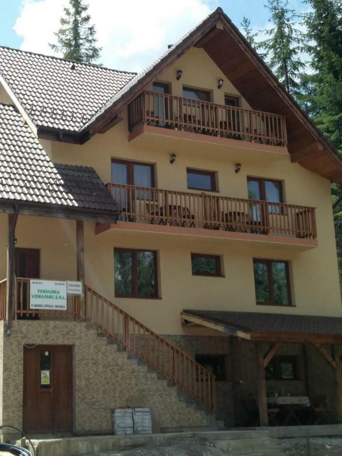 Vidra Parc 호텔 보이네아사 외부 사진