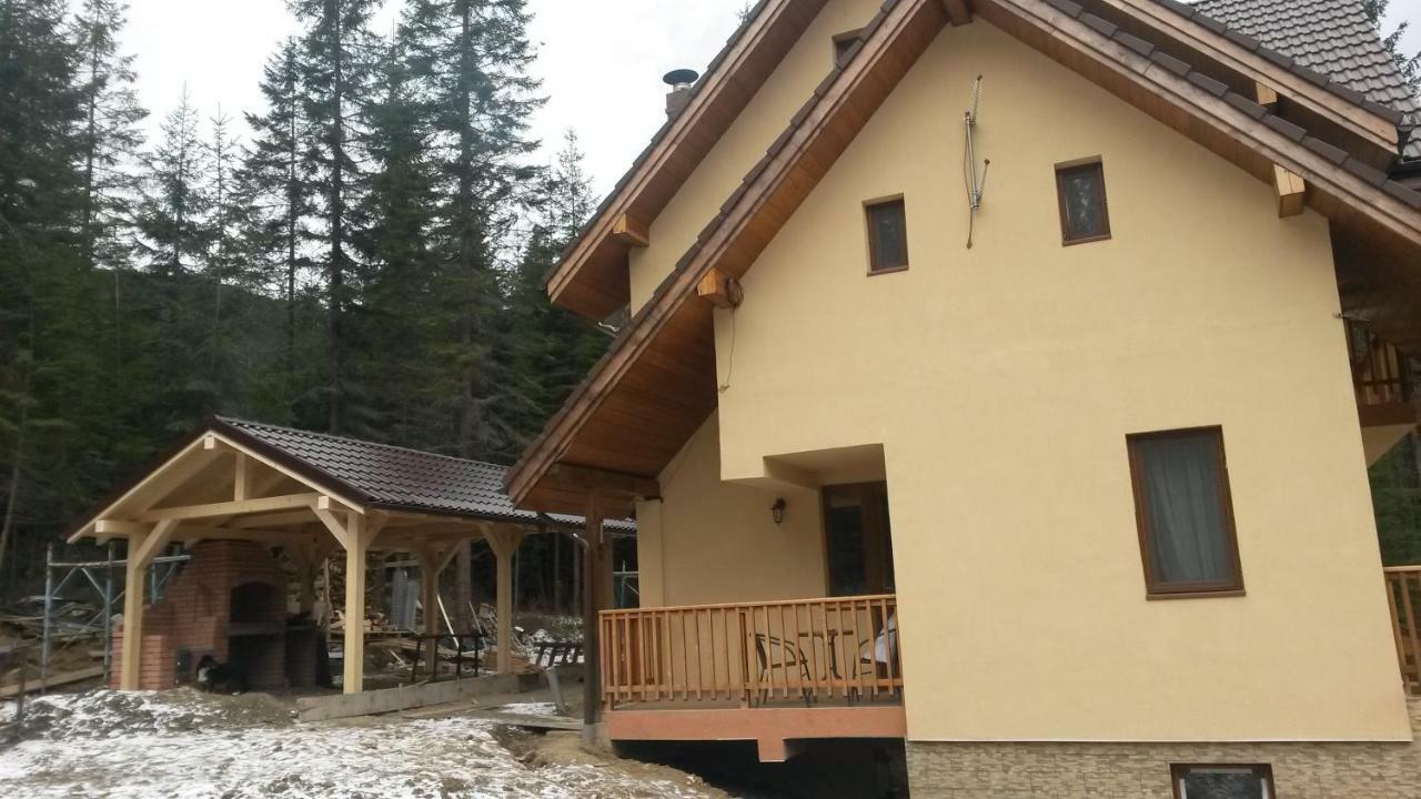 Vidra Parc 호텔 보이네아사 외부 사진
