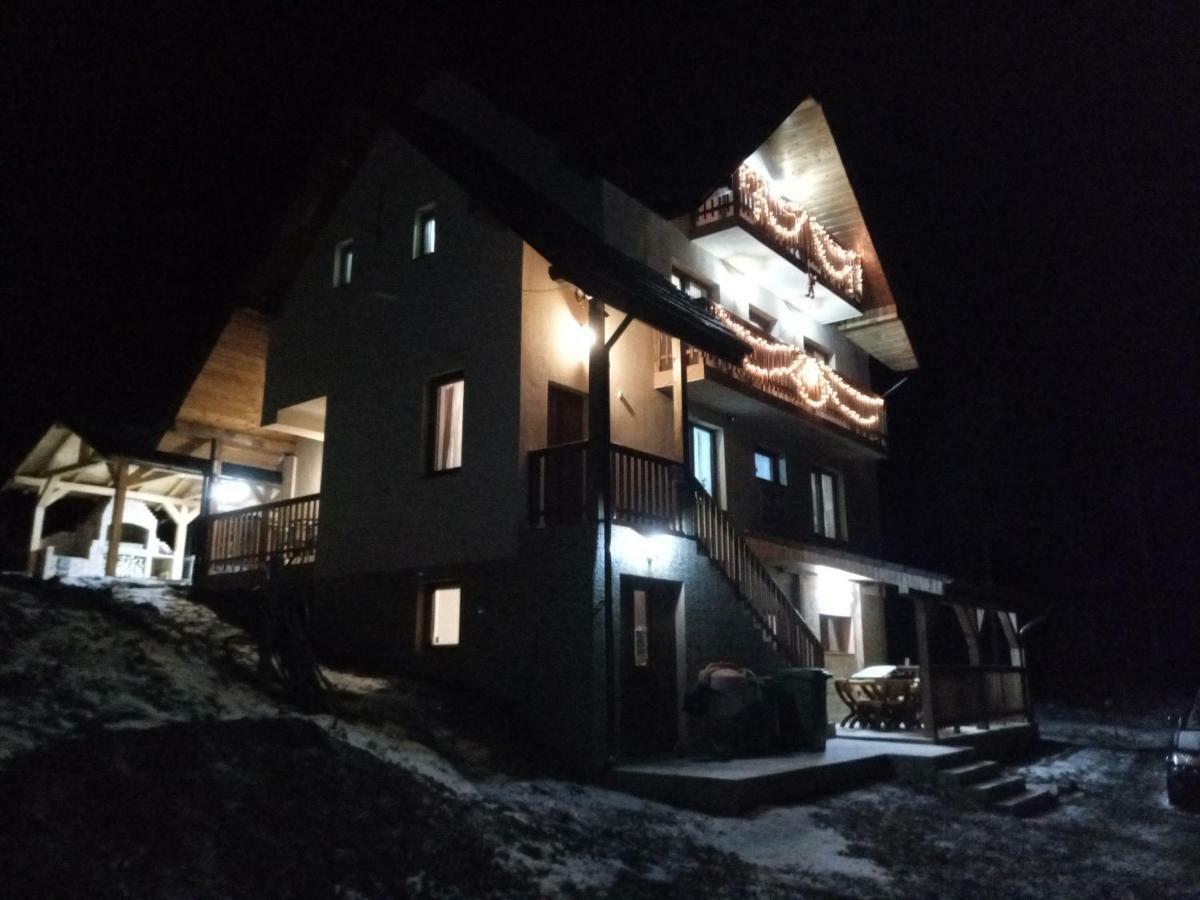 Vidra Parc 호텔 보이네아사 외부 사진