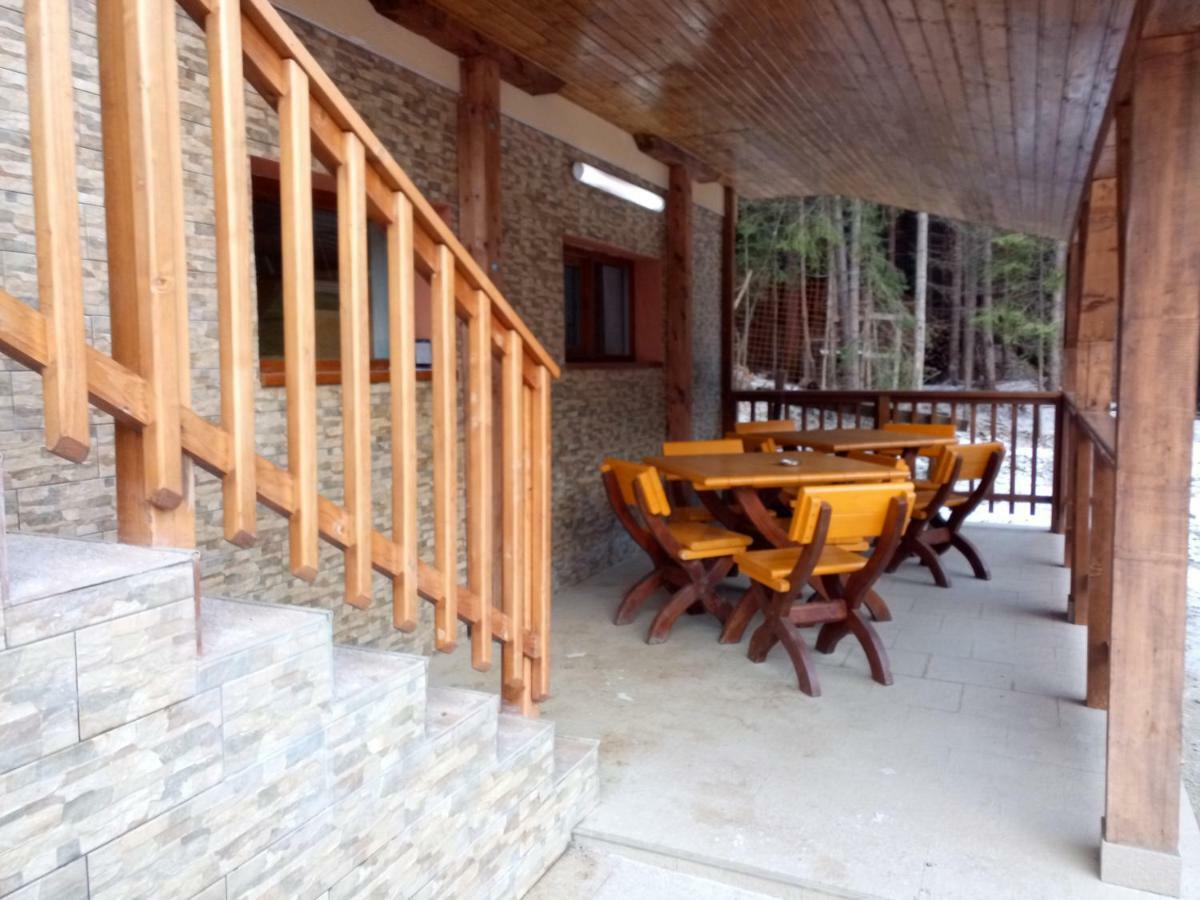 Vidra Parc 호텔 보이네아사 외부 사진