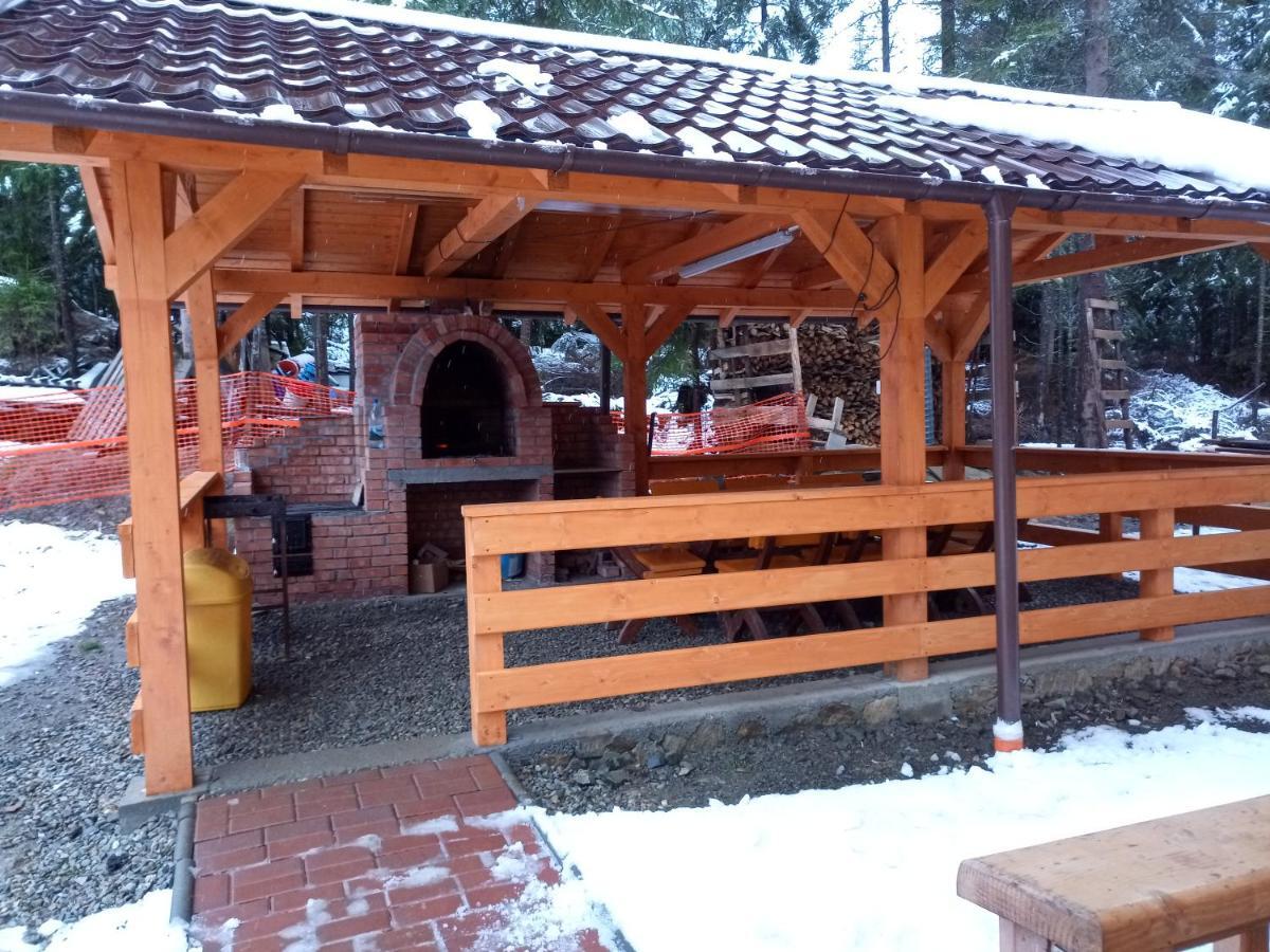 Vidra Parc 호텔 보이네아사 외부 사진